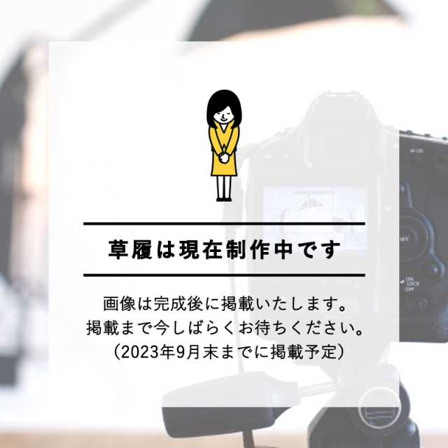 七五三着物画像