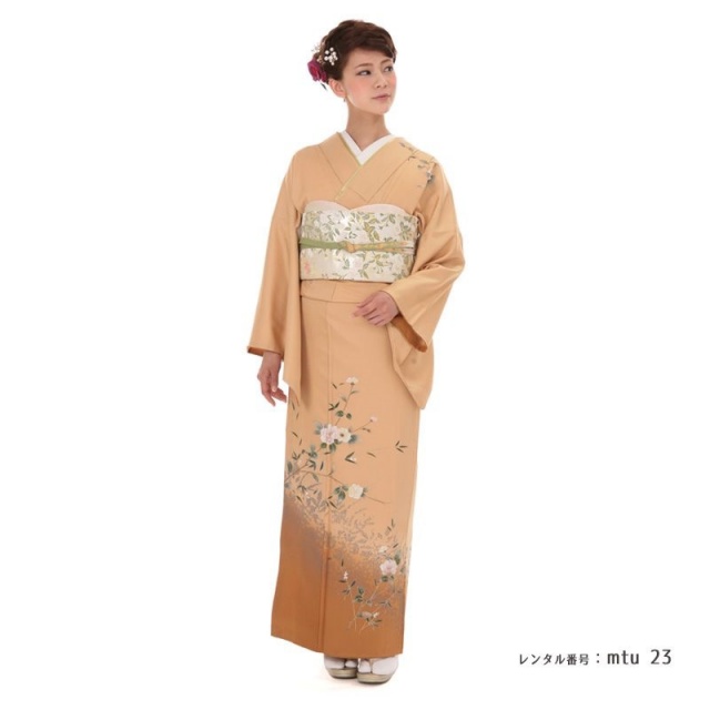 訪問着フルセット着物正絹枝葉模様チョコレート色g1