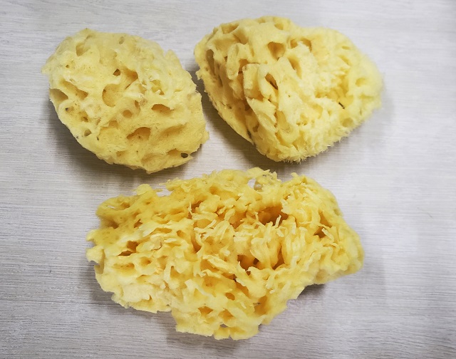 特別限定価格※エーゲ海産 天然海綿　フェイス用セット♪　