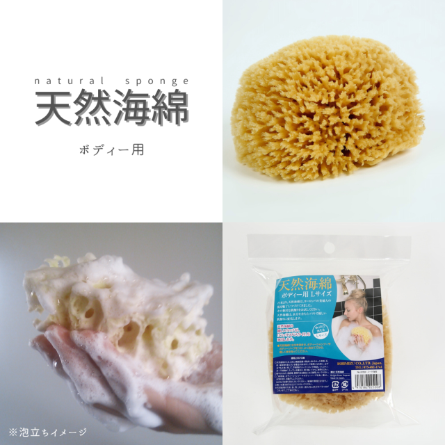 天然海綿 Lサイズ エーゲ海産