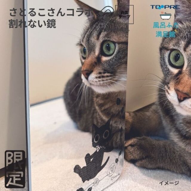 猫さんの壁掛け鏡 mirrordenyan-04.jpg