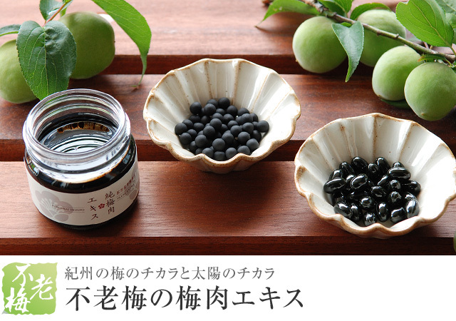 梅肉エキス・梅エキス