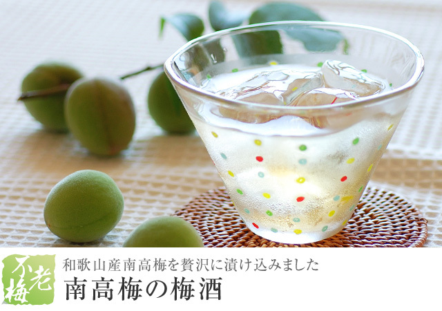 南高梅の梅酒