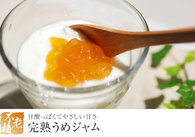 梅ジャム