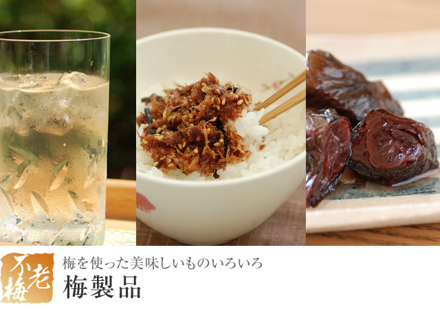 梅製品