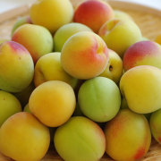 紀州みなべ産南高梅の完熟梅　1ｋｇ（税込・送料別）