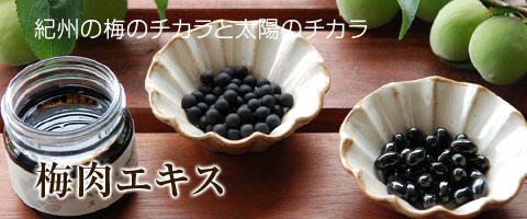 梅肉エキス・梅エキス