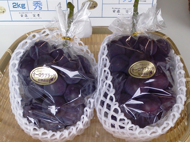 岡山県産オーロラブラック 4房 岡山県産オーロラブラック 4房（岡山県産 食べ応え抜群