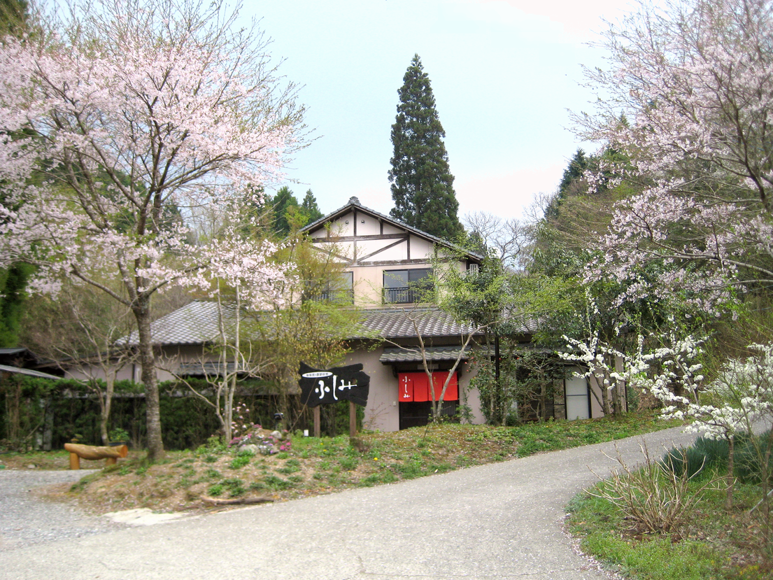 ふしみの全景　春