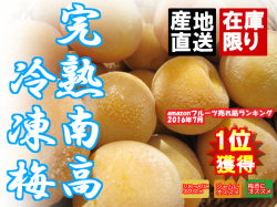【販売中】　紀州健康梅 手もぎ 完熟冷凍梅 1000g+おまけ500g～800g　【梅酒用・ジャム用・シロップ用】南高梅　農家直送　送料別途クロネコ冷凍便