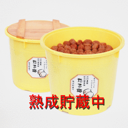 紀州健康梅　たる梅