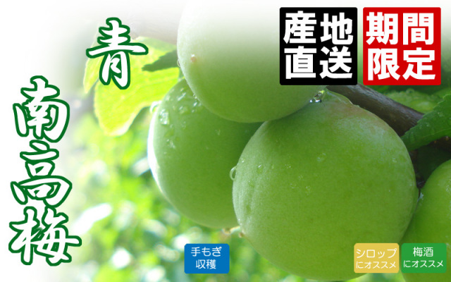 紀州健康梅 手もぎ 南高梅