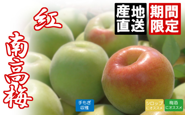 紅南高梅　予約受付中