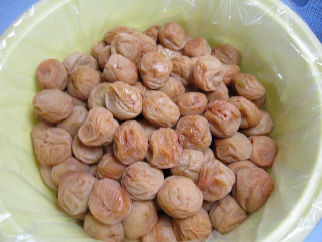 わずかにキズあり 梅干しまるごと1年分！ 紀州健康梅 たる梅 10キロ