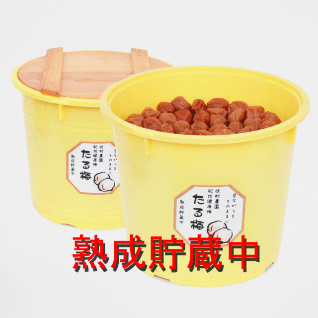 すっぱい梅干しまるごと1年分！ 紀州健康梅 たる梅 10キロ