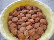 少しキズあり　梅干しまるごと１年分！　紀州健康梅　たる梅