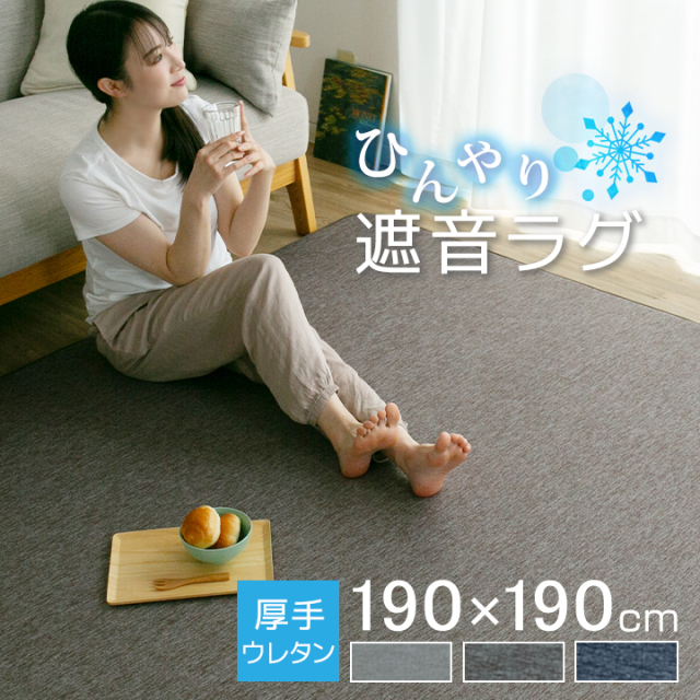 ラグ 冷感ラグ 厚手 2畳 おしゃれ 190×190 ひんやり 接触冷感 ラグマット 夏用 絨毯 カーペット マット 23J035