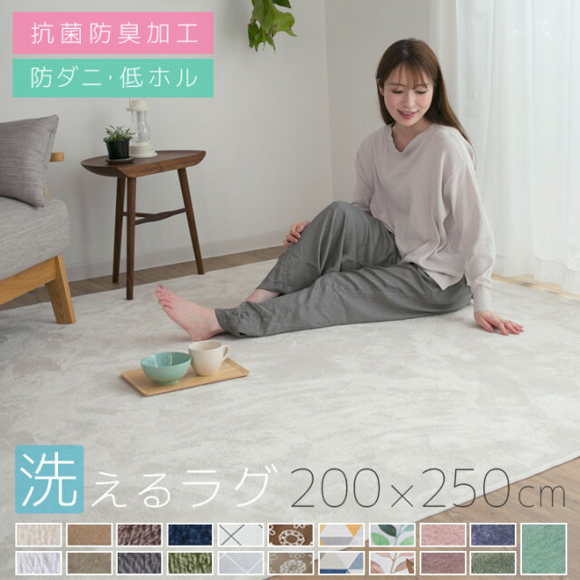 洗える ラグ オールシーズン 200×250 北欧 ラグマット 滑り止め付 マット ラグカーペット 夏 冬 カーペット ホットカーペット対応 フランネル ウォッシャブル 絨毯 リビング 床暖房対応 A703