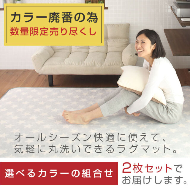 ラグ 数量限定 アウトレット 選べる 2枚セット 洗える オールシーズン