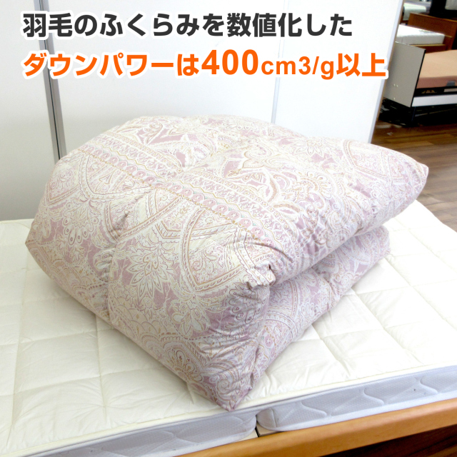 111-512>【WEB限定(店頭受取不可)】【在庫限り☆売切れ御免】ロマンス 