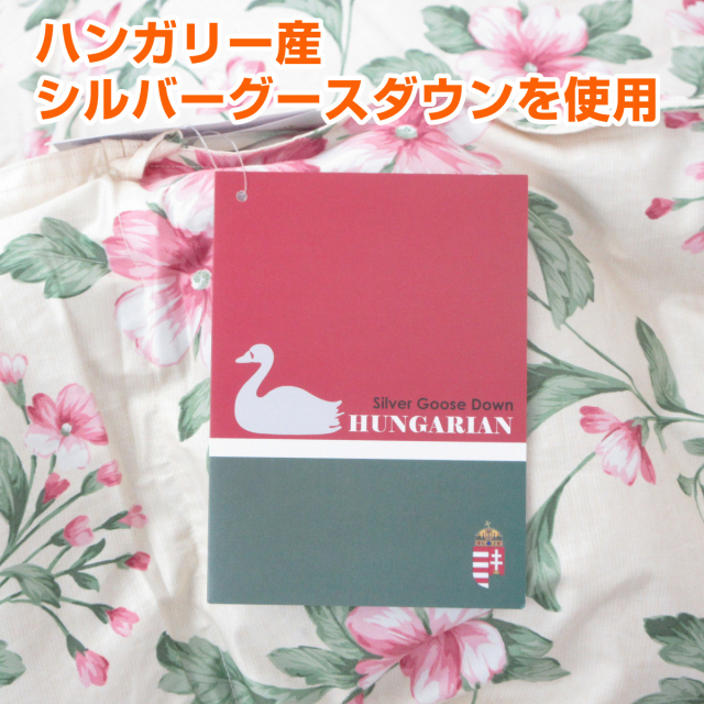 113-213>【アウトレット(店頭受取不可)☆在庫処分☆返品交換不可