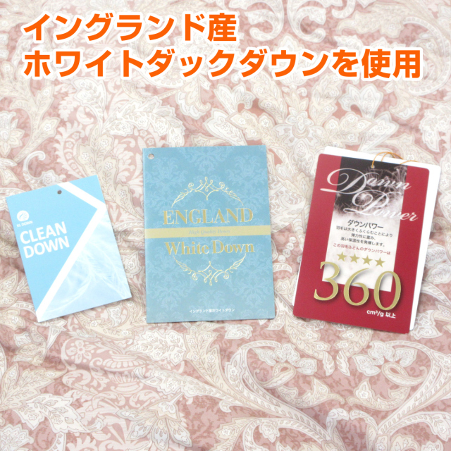 110-884>【アウトレット(店頭受取不可)☆在庫処分☆返品交換不可