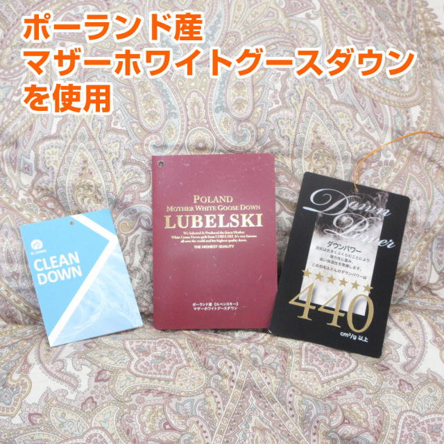 110-905>【WEB限定(店頭受取不可)☆数量限定】日本製 増量タイプ 清潔