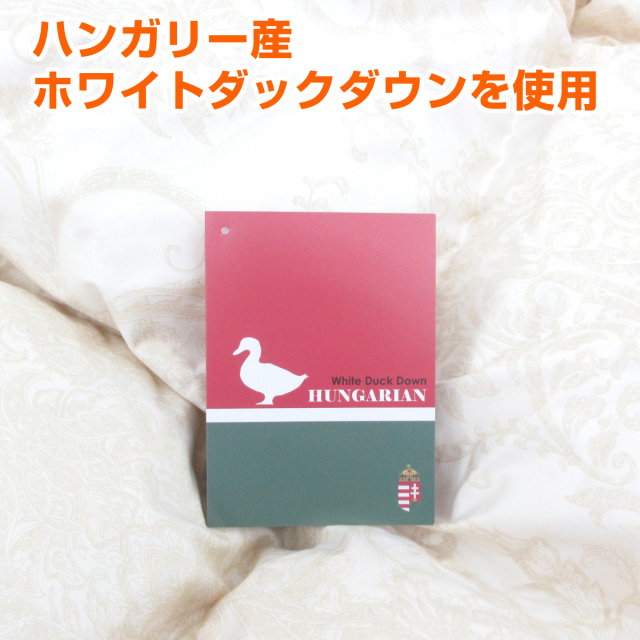 110-912>【WEB限定(店頭受取不可)☆数量限定】日本製 900g軽量タイプ