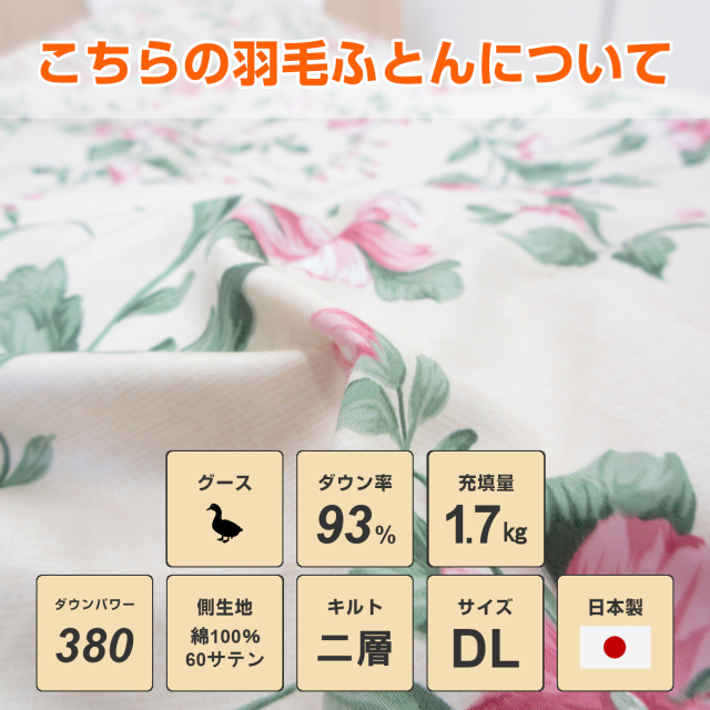 111-523>日本製 増量タイプ ハンガリー産シルバーグースダウン93