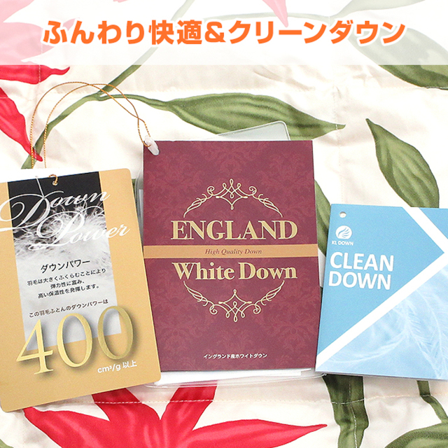新品【シビラ】羽毛布団 フローレス シングル グリーン 掛け布団ダウン masumen_sbilla-dket18
