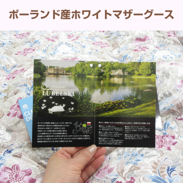 120-560>日本製 羽毛肌掛け布団 シングル 150×210cm ポーランド