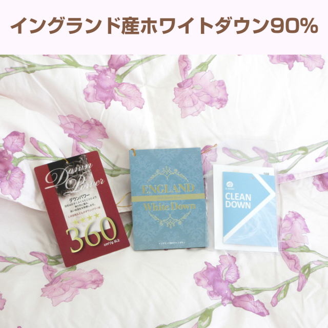 810-44>【WEB限定(店頭受取不可)】【お得な2枚組セット】日本製