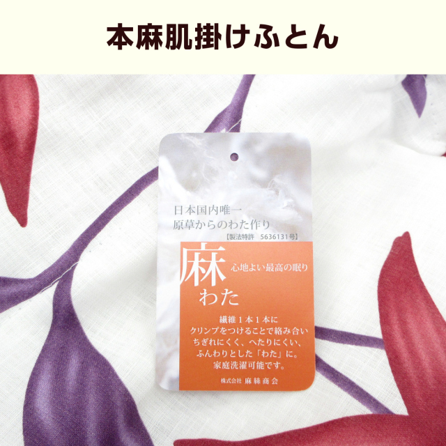 270-555> 【在庫限り(店頭受取不可)☆売り切れ御免】 【シビラ