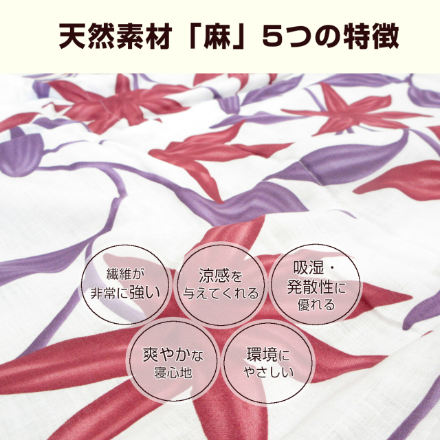 270-555> 【在庫限り(店頭受取不可)☆売り切れ御免】 【シビラ
