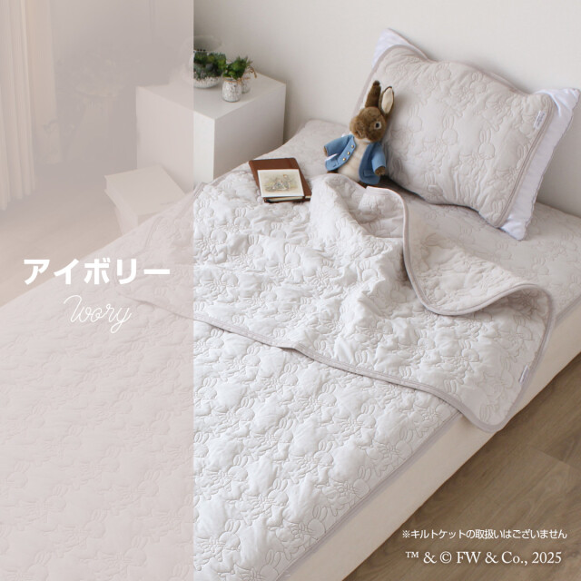 330-867>【在庫限り☆売切れ御免☆店頭受取り不可】ピーター