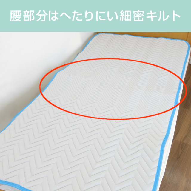 560-117>帝人 最強ダニ対策 ダニスト 洗える ベッドパッド シングル