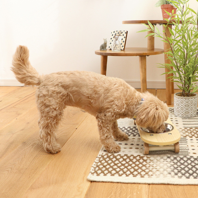 580-pet_sk8plate