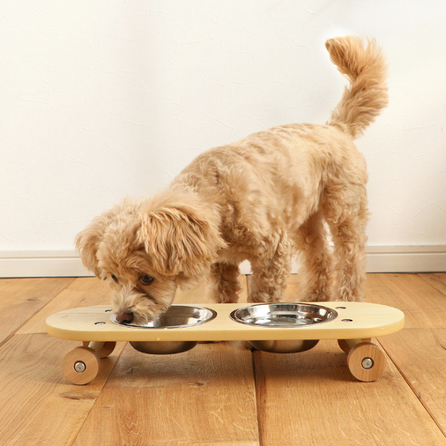580-pet_sk8plate
