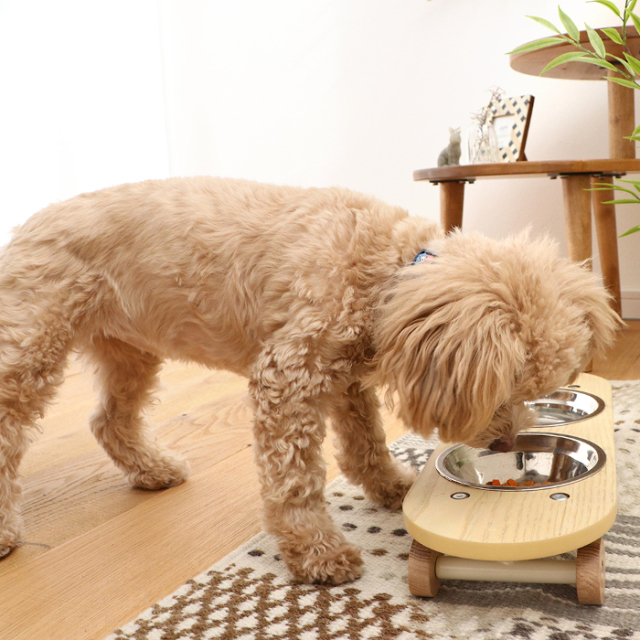 580-pet_sk8plate