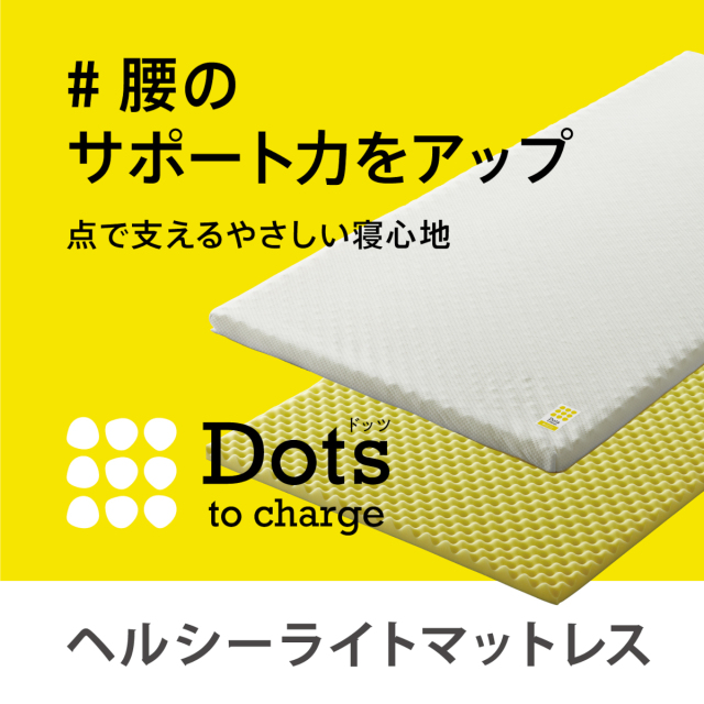646-307>【WEB限定(店頭受取不可)】nishikawa Dots ヘルシー
