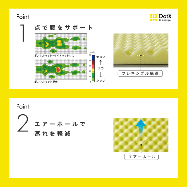 646-307>【WEB限定(店頭受取不可)】nishikawa Dots ヘルシー