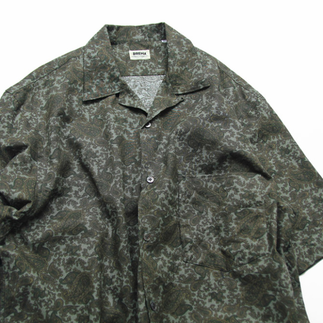 BRENA / BRAZE SS - 6oz Linen Payslay Print Green