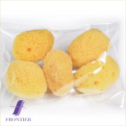 天然海綿5個入り