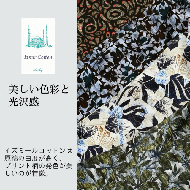 会員様限定SALE]エーゲ海コットン ストレッチ プリントシャツ