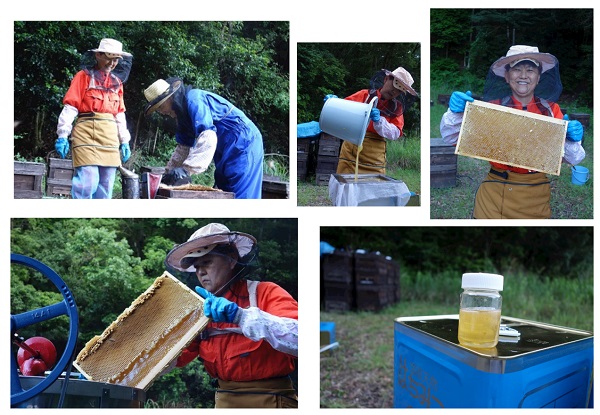 国産非加熱はちみつ