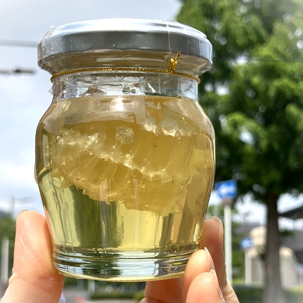 巣蜜入りはちみつコームハニー