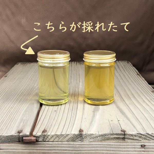【2022新蜜国産はちみつ】あかしあ蜂蜜 220g 国産はちみつ新蜜