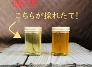 国産はちみつ新蜜