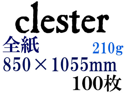 ホルベイン　クレスター水彩紙　中目　２１０ｇ（並厚口）　全紙（８５０×１０５５ｍｍ）　１００枚
