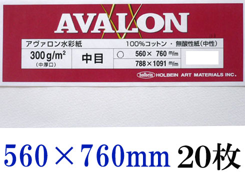 アヴァロン 水彩紙  中目　３００ｇ　５６０×７６０ｍｍ　２０枚組